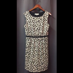 Ann Taylor Loft Dress